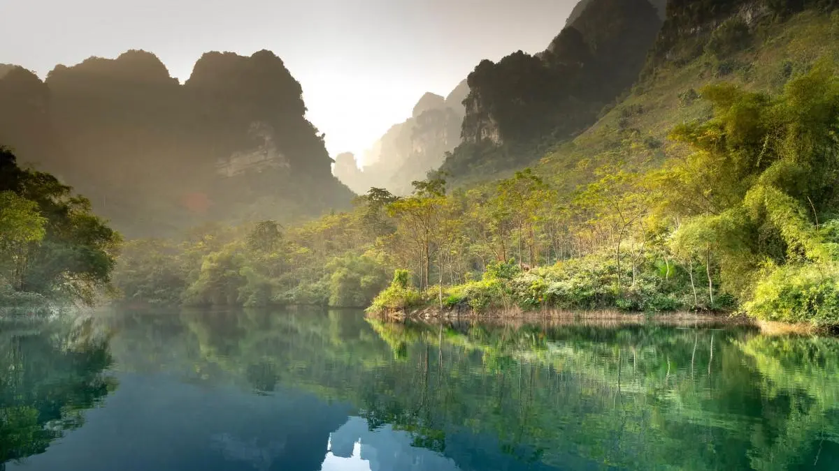 科技高质量高效